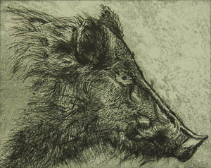 Boar's Head